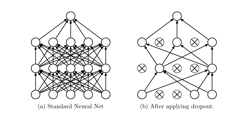 Figure 9: Visualizing dropout in a fully connected neural network